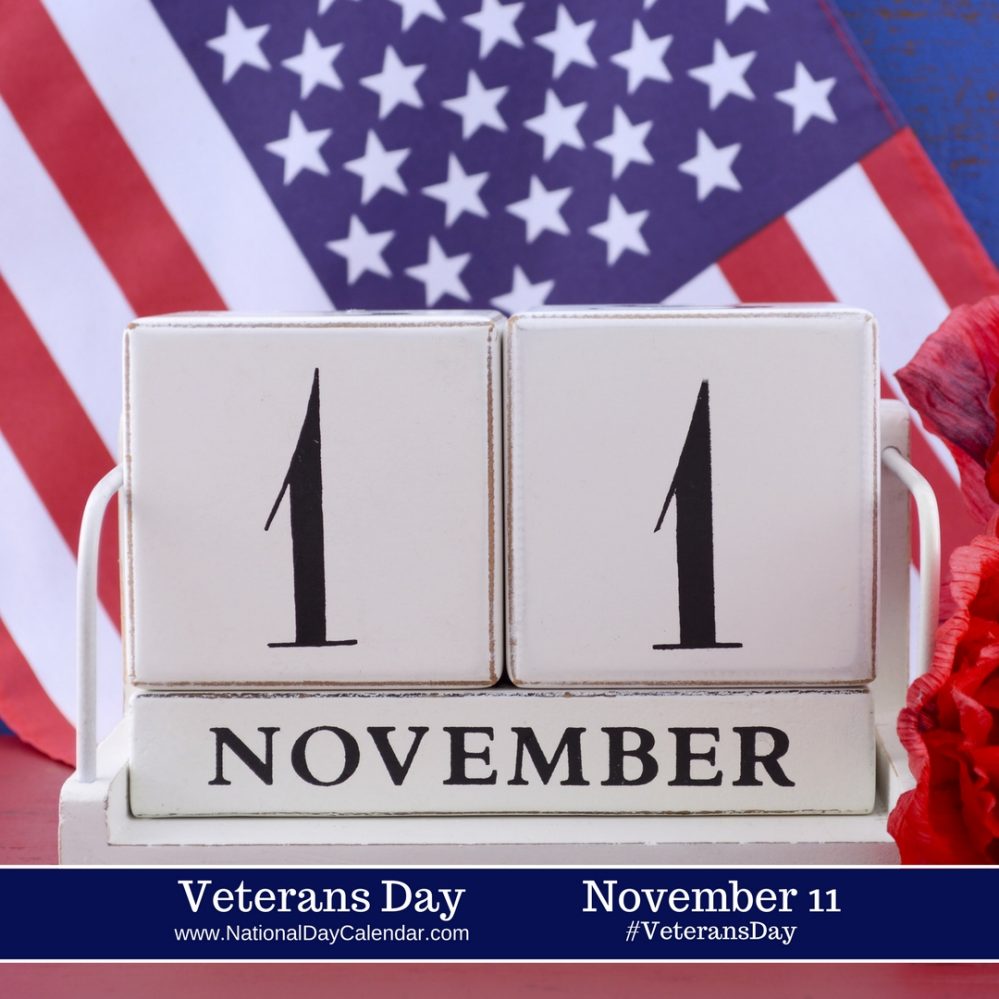 Veterans day infographic