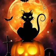 Halloween Frame - Facebook Profile Photo Frame Overlay Filter - Profile ...