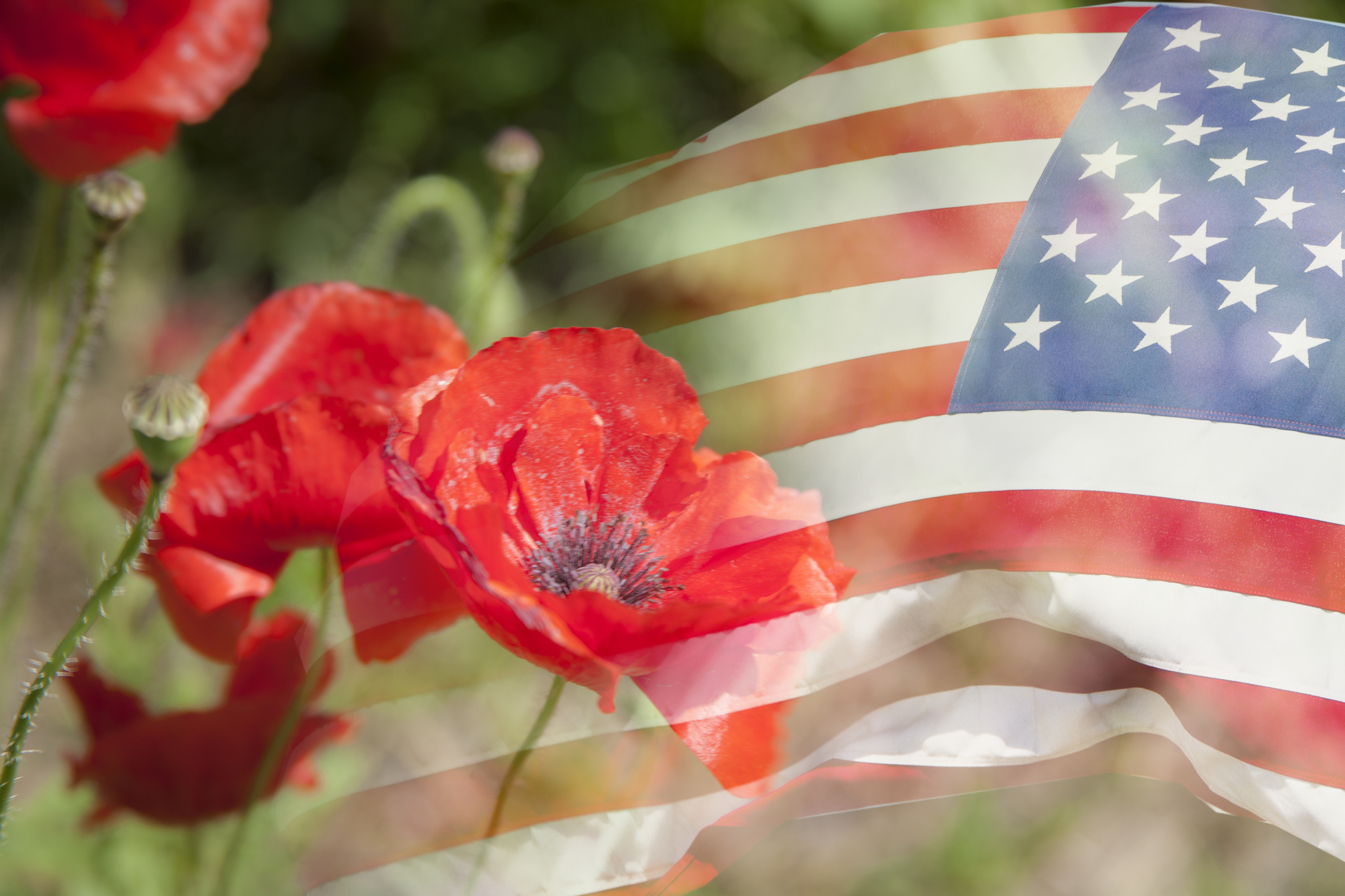 Veterans Day Facebook Header and Cover Happy Veterans Day America US