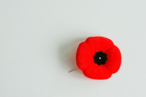 Remembrance day a stat 2024