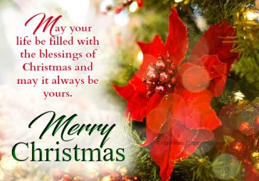 Merry Christmas Wishes and Christmas Messages Quotes Sayings 2019 for ...
