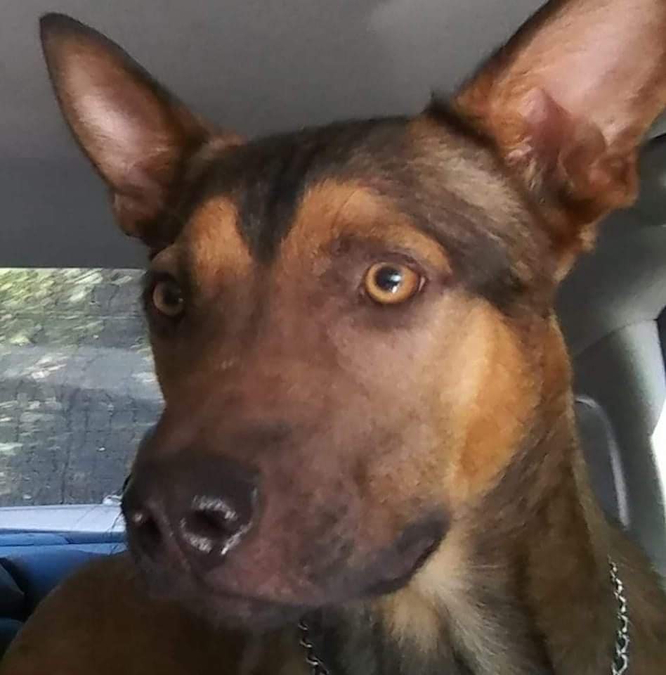 Ukraine Profile Picture Frames for Facebook